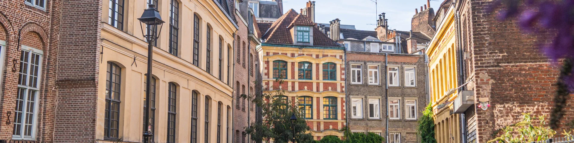 Lille Vieux Lille Laurent Javoy