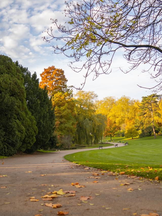 Barbieux Park