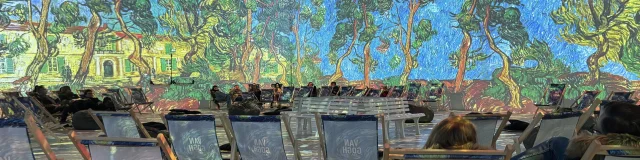 Expo Van Gogh Ambassadeurs 2 B Douchet Hello Lille