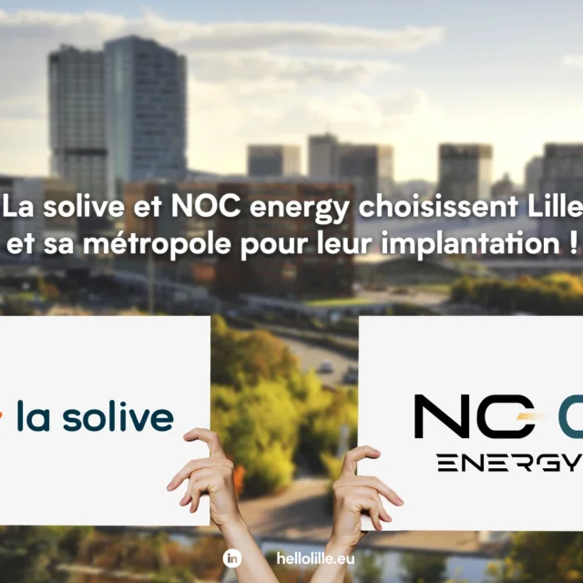 Noc Et La Solive